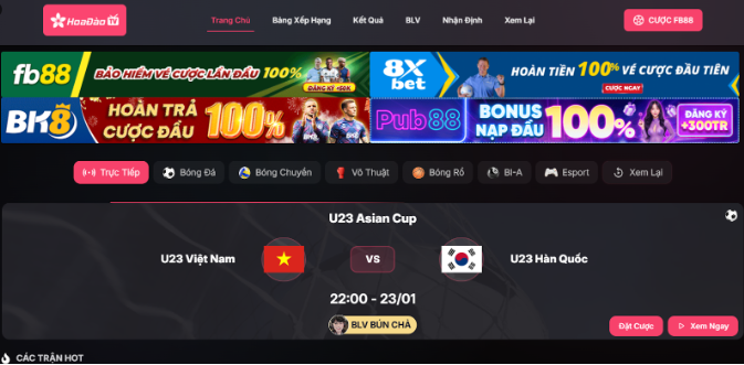 Giới thiệu thông tin tổng quan về Hoa Đào TV