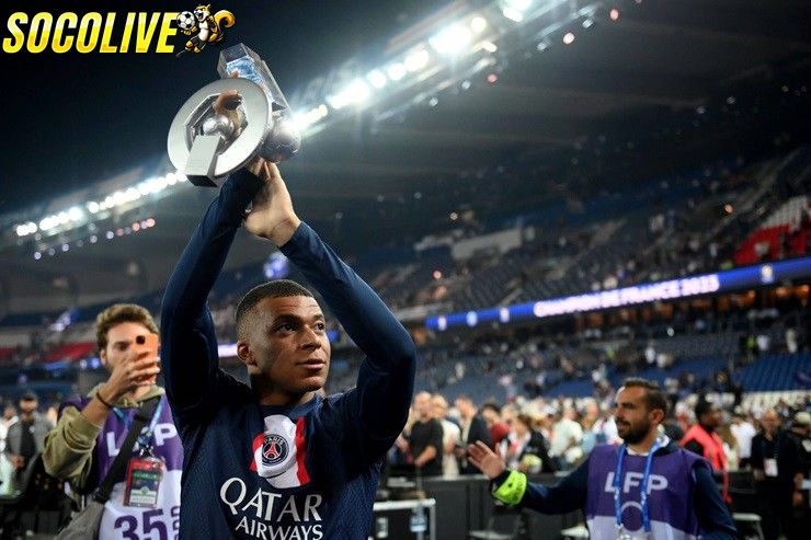 Tổng quan về giải đấu Ligue 1